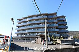 ライベクスト35 405