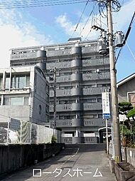 クリスタルハーモニー 305