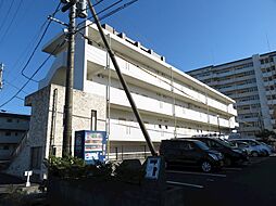 クラルテディヴァイン 301