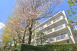 東寺尾ヒルズ84