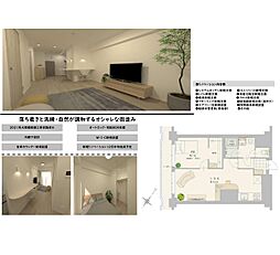 ソフトタウン代々木