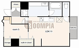 コーポレーションT＆T　C 501