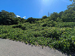 高松市川島東町 売土地