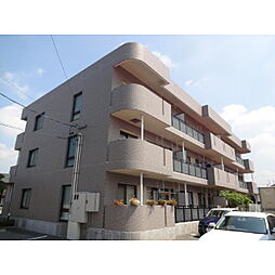 プラティーノ・S