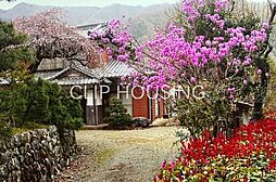 相模原市緑区青根　中古戸建