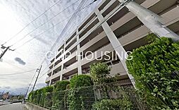 日神パレステージあきる野南