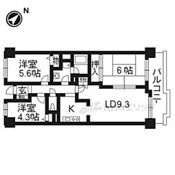 宇治市五ケ庄平野