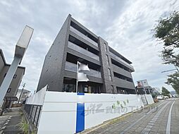エンド　ベンジャミン 202