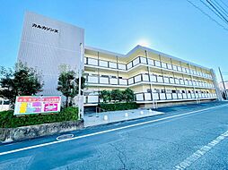 カルカソンヌ 305