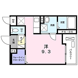 セルフィール 305