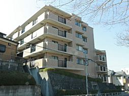 RS ベルシヤトゥ八王子市台町　409 409号