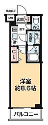 ARCOBALENO OHANAJAYA 410