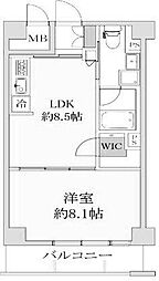 ベルドゥムール扇大橋II 203