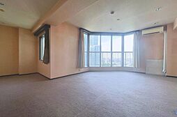 西戸山タワーホウムズセントラルタワー