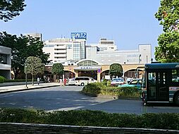 所沢市東住吉 土地 全1区画