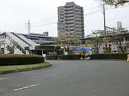 セザール小手指