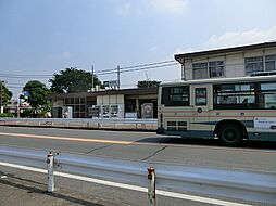 所沢市大字本郷　土地