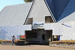 所沢市大字山口　土地