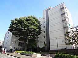 妙蓮寺コーポラス 209