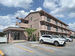 サザンクロス 206