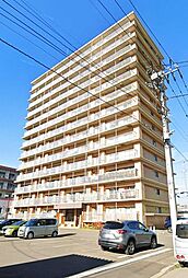 コロナード菊水