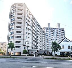 ロイヤルコート大谷地壱番館A