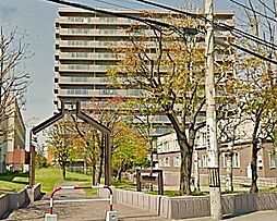 コープ野村大谷地