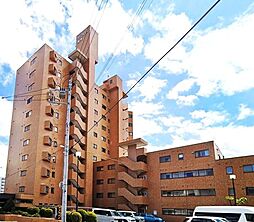 ダイアパレス菊水