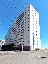 ギャラリーハイツ南2条　B棟 1105