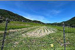 南丹市園部町売土地