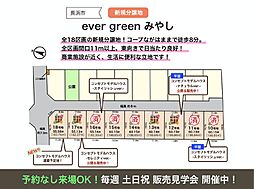 ever green みやし 13号地