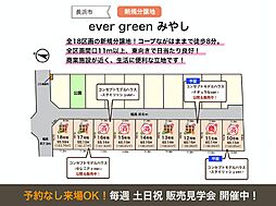 ever green みやし 13号地