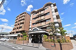 パールメガリス