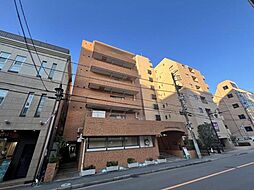 ライオンズマンション一橋学園