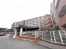 ビクトリアアネーロ大宮