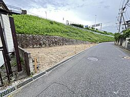 越谷市大字袋山 土地