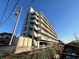 ベルドゥムール春日部