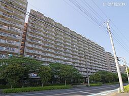 ライオンズマンション南市川