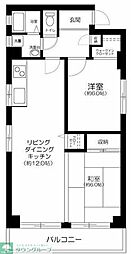 シャンテ蘭