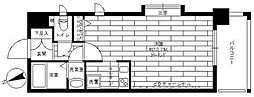 ステージファースト中野駅前 801