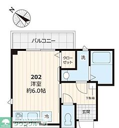 サンセベリア 202