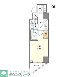 Ｃａｍｅｌｌｉａ 0704