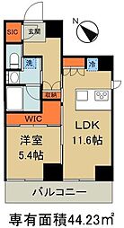 ＤＩＰＳ十条仲原ＷＥＳＴ 204
