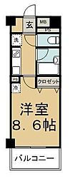 プリマベーラ王子 00203