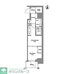 クラリティア綾瀬 501