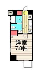 ディアレイシャス菊川