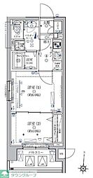 クレイシア菊川