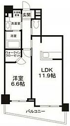 マーシスマルル