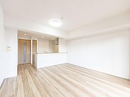 ランドステージ東川口パークサイド 303号室