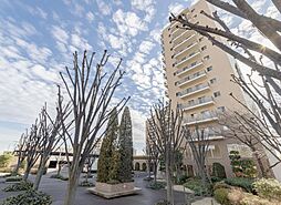 ソル・シエーナ川口 413号室